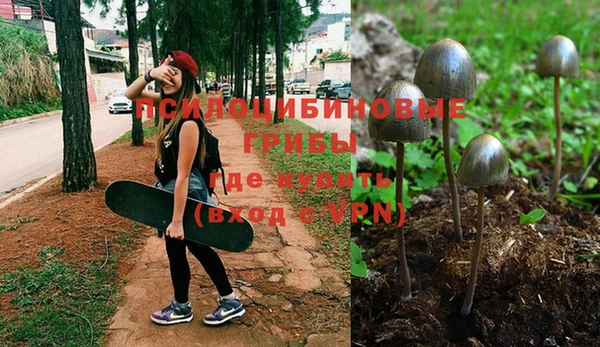 apvp Абдулино